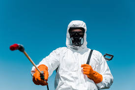 Best Commercial Pest Control  in Val Verde, CA